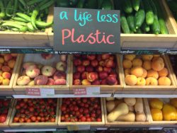 A life less plastic