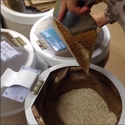 Refill bins