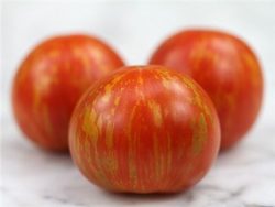 Tigerella tomatoes