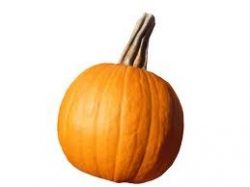 Baby bear_pumpkin