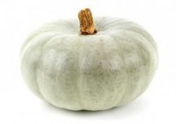 Crown prince squash