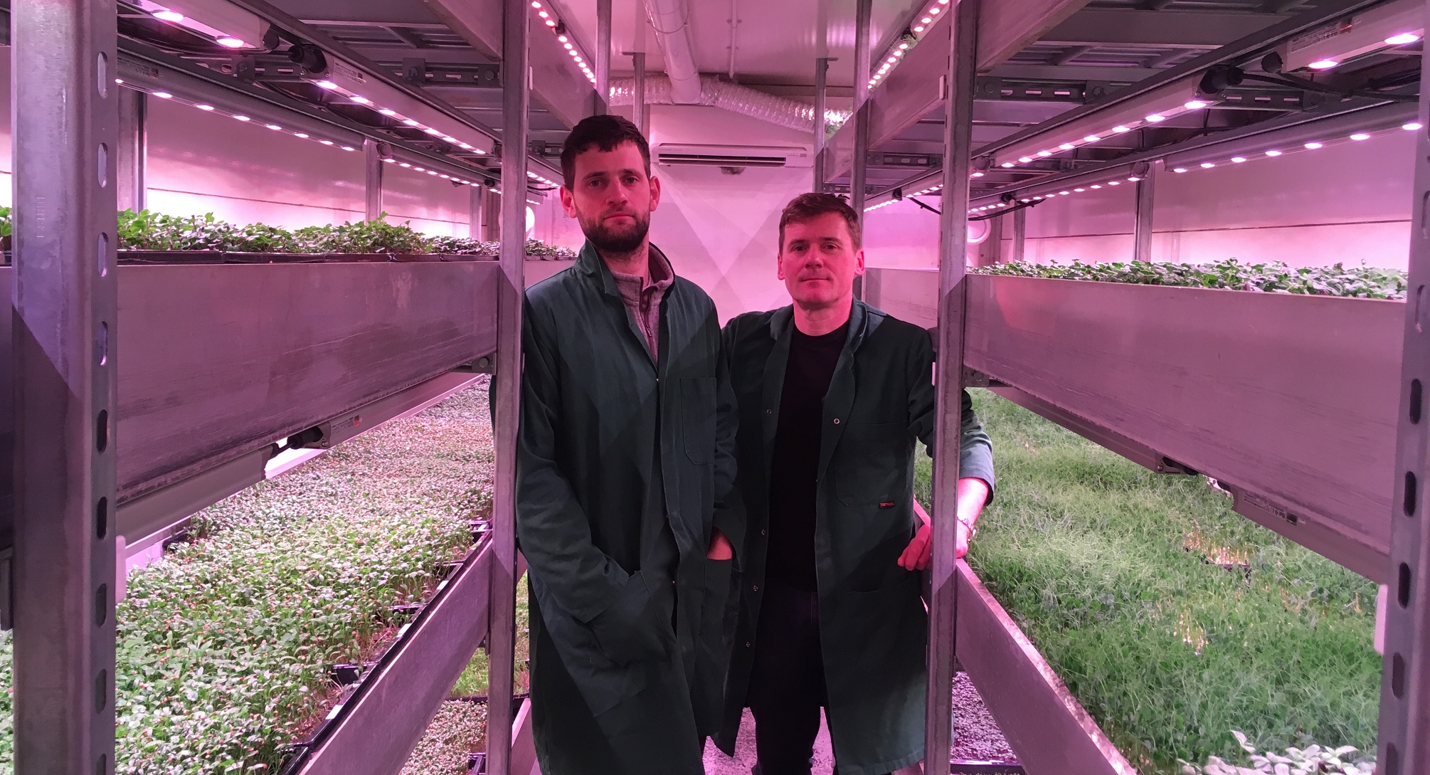 Growing up! Grow Bristol makes a come-back…