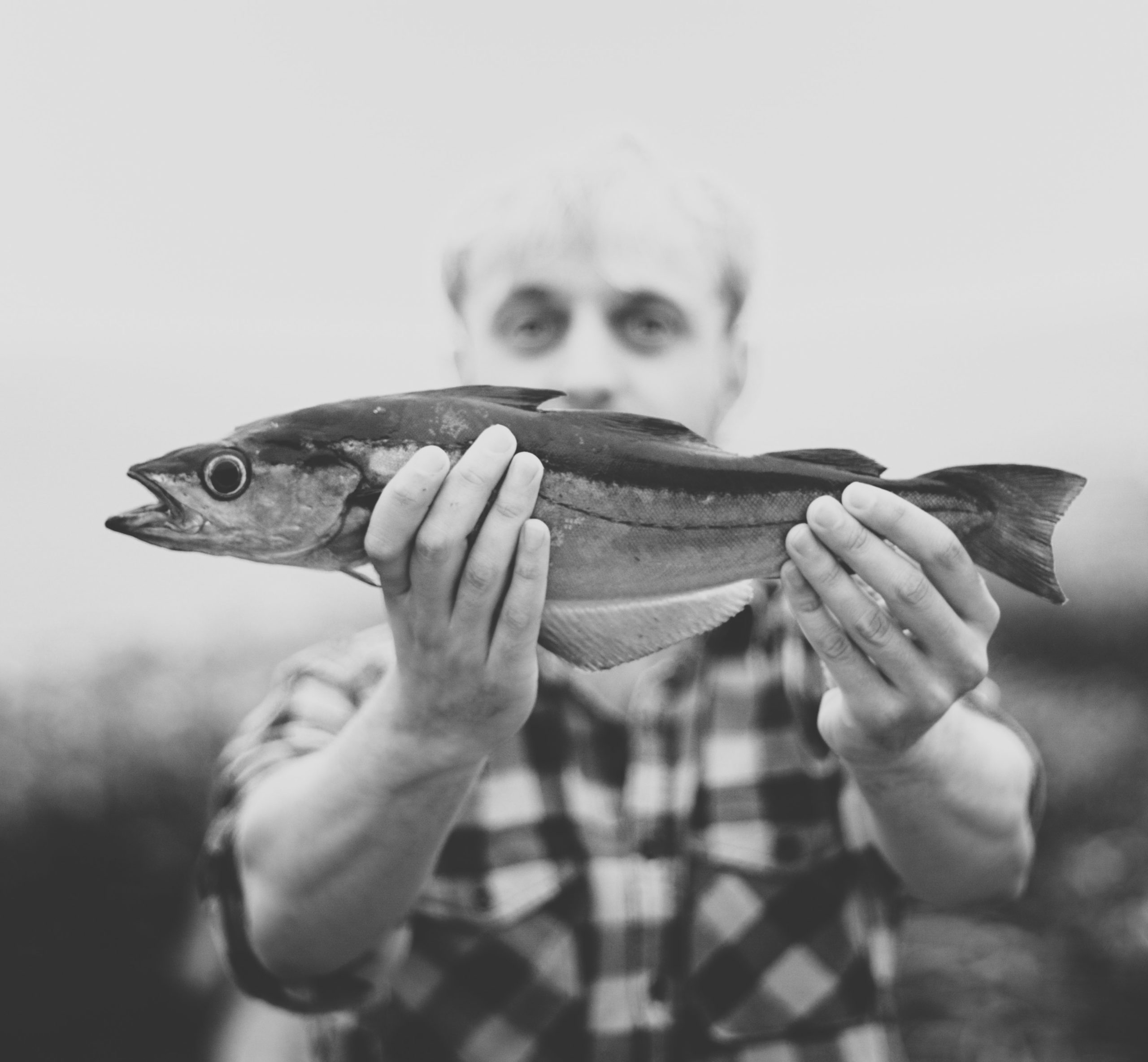 A holistic approach to fish stock sustainability: why does Better Food stock fish on conservation watchlists?