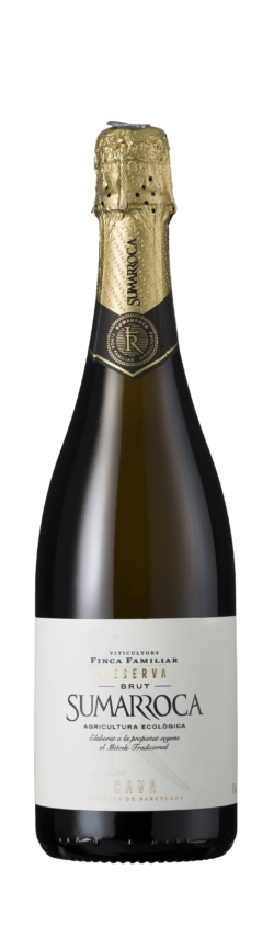Bottle of sparkling wine