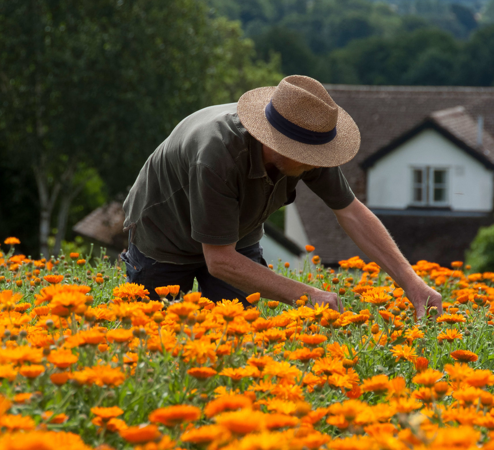 Organic Heroes: Herbfarmacy