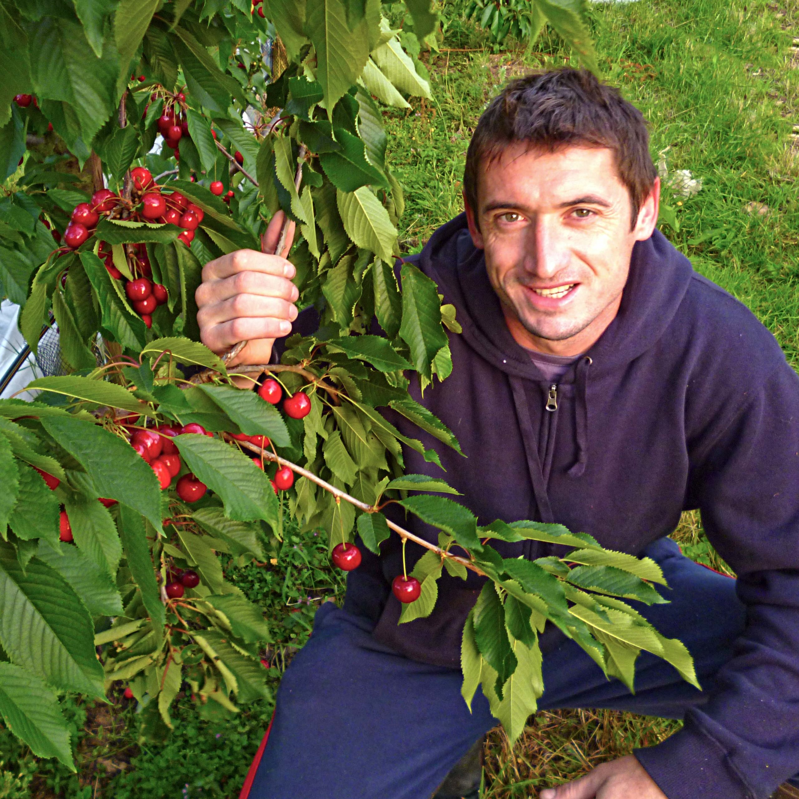 A new season of local apples