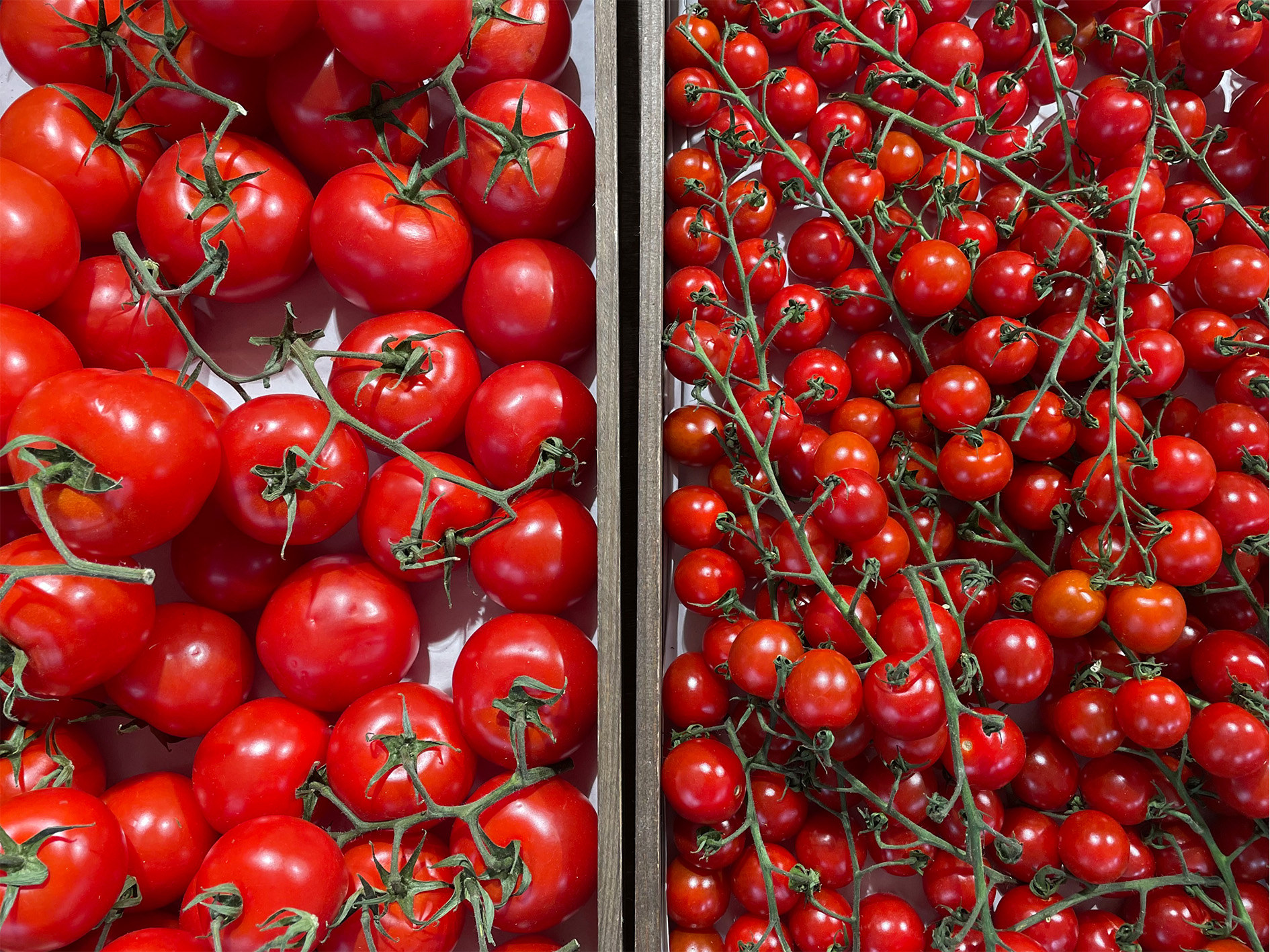Why Shop Local and Seasonal?