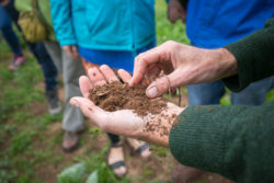 Someone with a hand full of soil