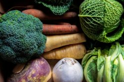 Winter veg