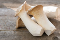 King oyster mushrooms