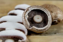 Portobello mushrooms